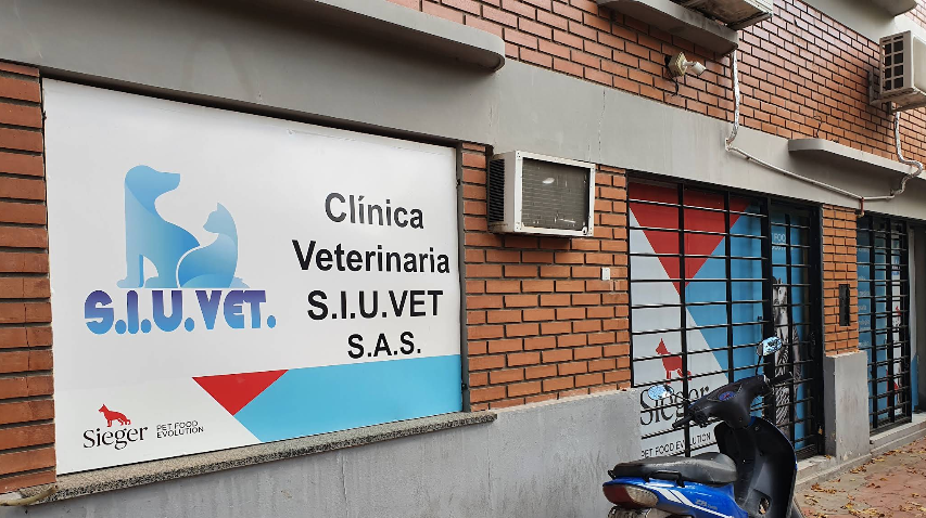 Veterinaria