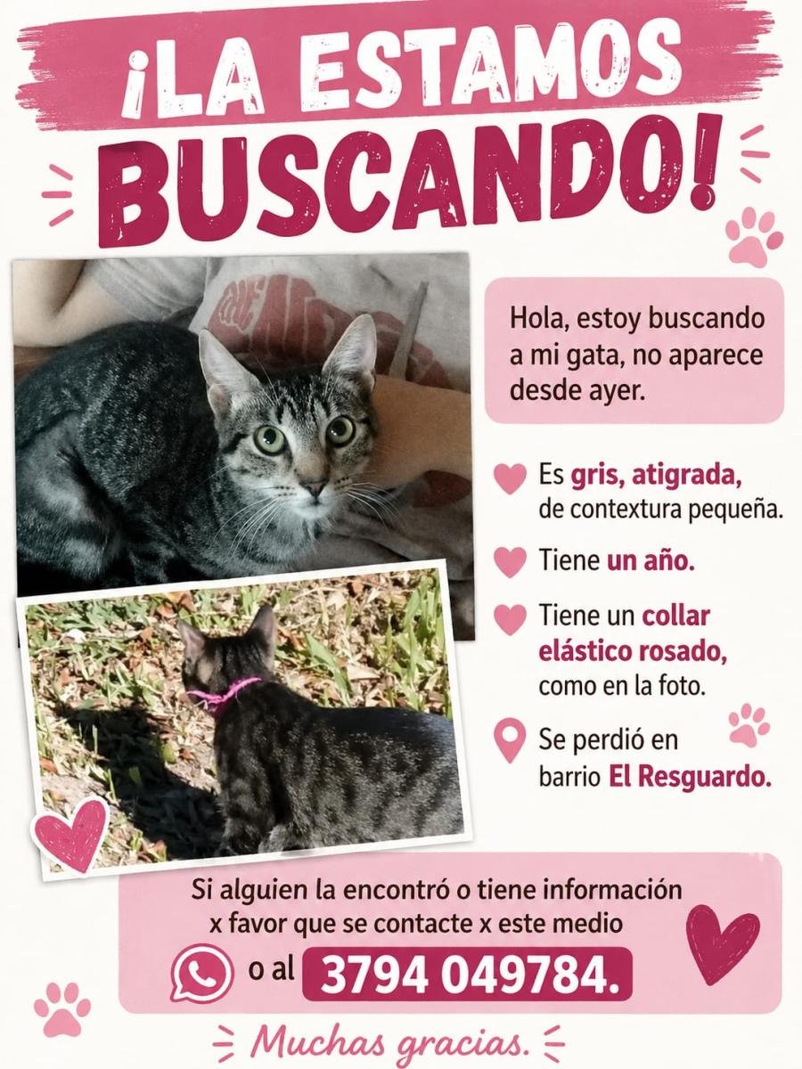 Mascota