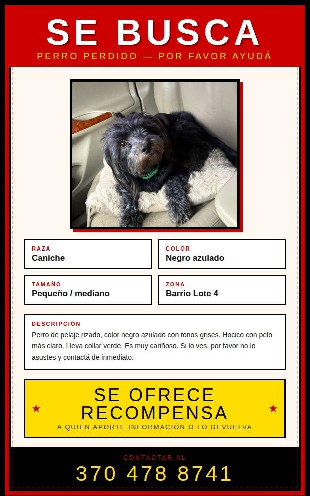 Mascota