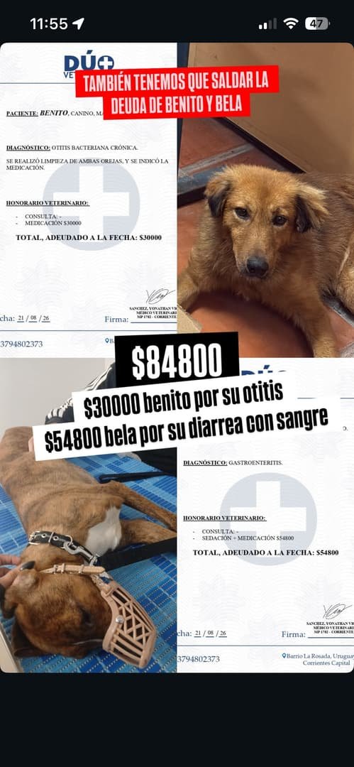Benito y Bela