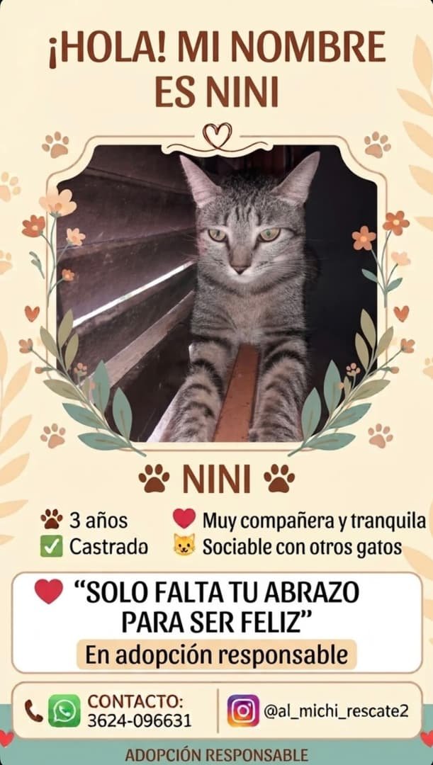 Mascota