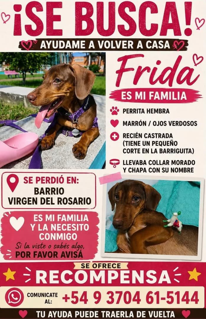 Mascota