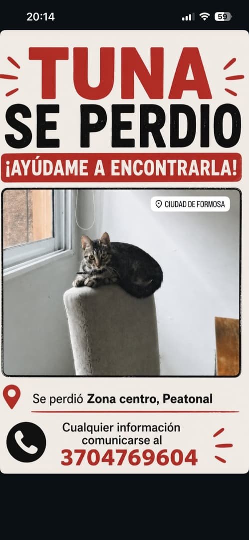 Mascota