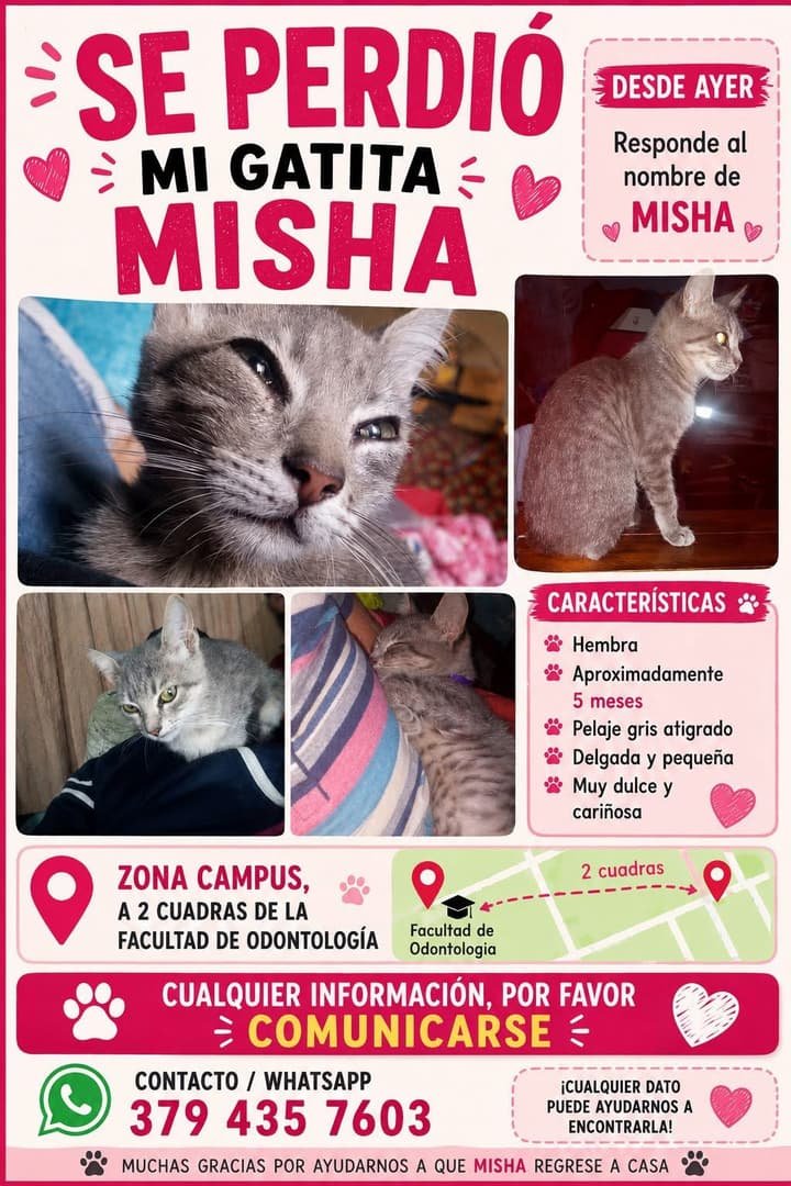 Mascota