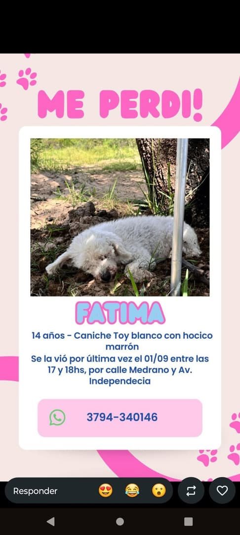 Mascota
