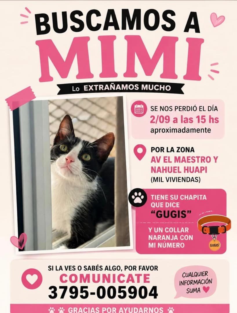 Mascota